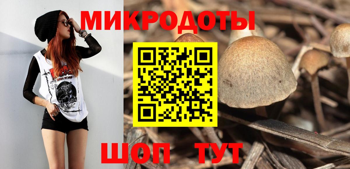 купить закладку  Вход с VPN  Выборг  Галлюциногенные грибы Magic Shrooms  Галлюциногенные грибы Psilocybine cubensis 