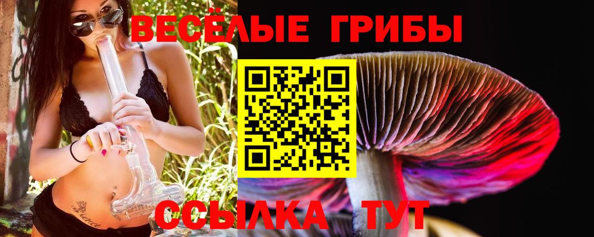 Псилоцибиновые грибы прущие грибы Выборг