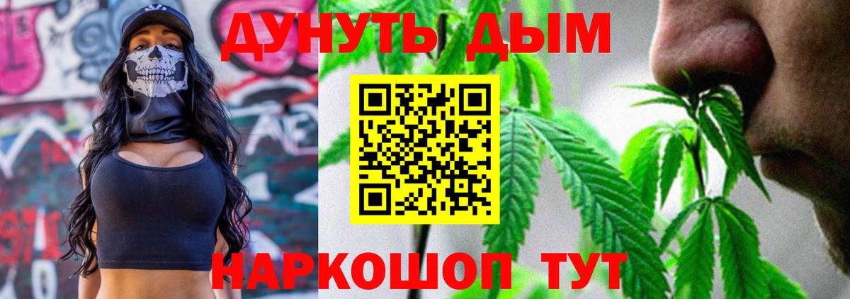 Выборг  Бошки Шишки SATIVA & INDICA  Вход с VPN  Конопля AK-47 